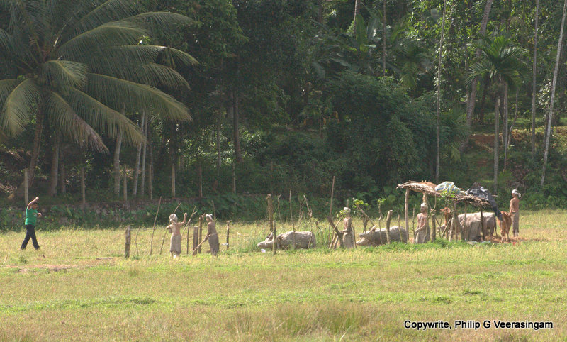 Images of Sri Lanka on blogspot.com: Clay figures of a threshing site