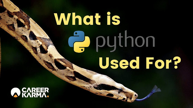 Python Programming Language Intro/ पाइथन लैंग्वेज हिंदी