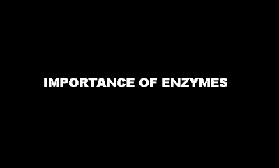 Importance of enzymes