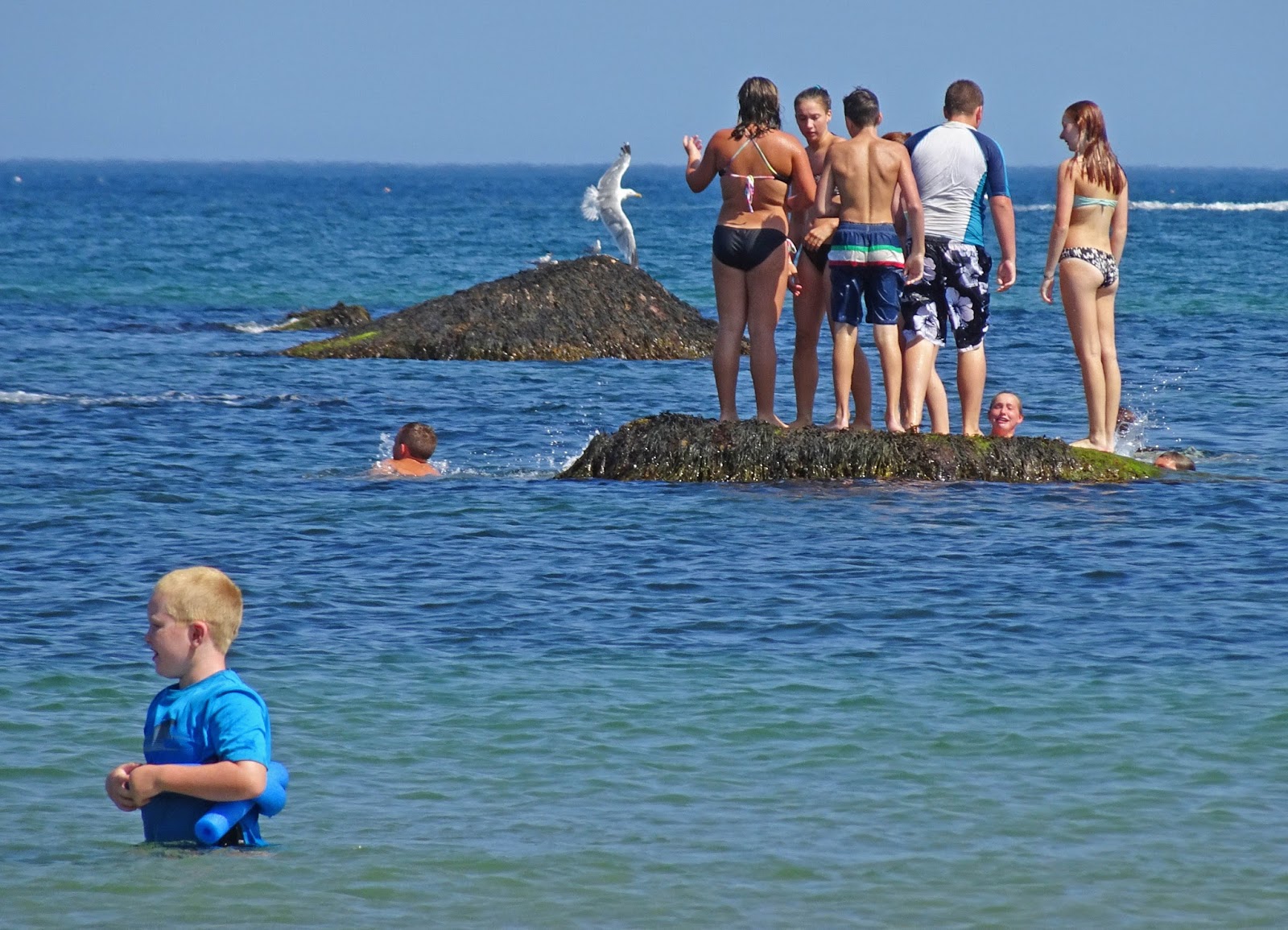 Joe's Retirement Blog Beach Walk, White Horse Beach, Manomet, Plymouth