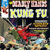 Deadly Hands of Kung Fu #2 - Neal Adams cover, Jim Starlin reprint