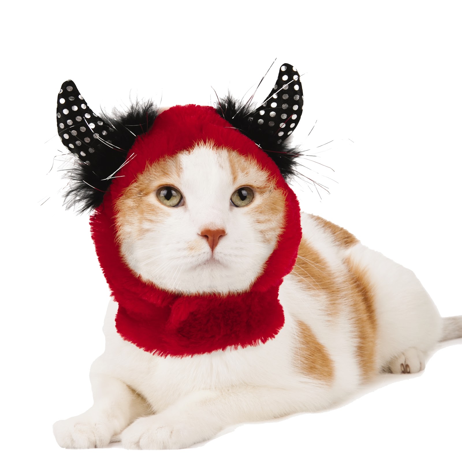 Halloween Costumes for Your Pet from PetSmart, MonsterCute
