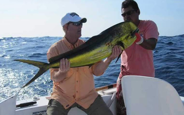 Sport Fishing in Cabo San Lucas