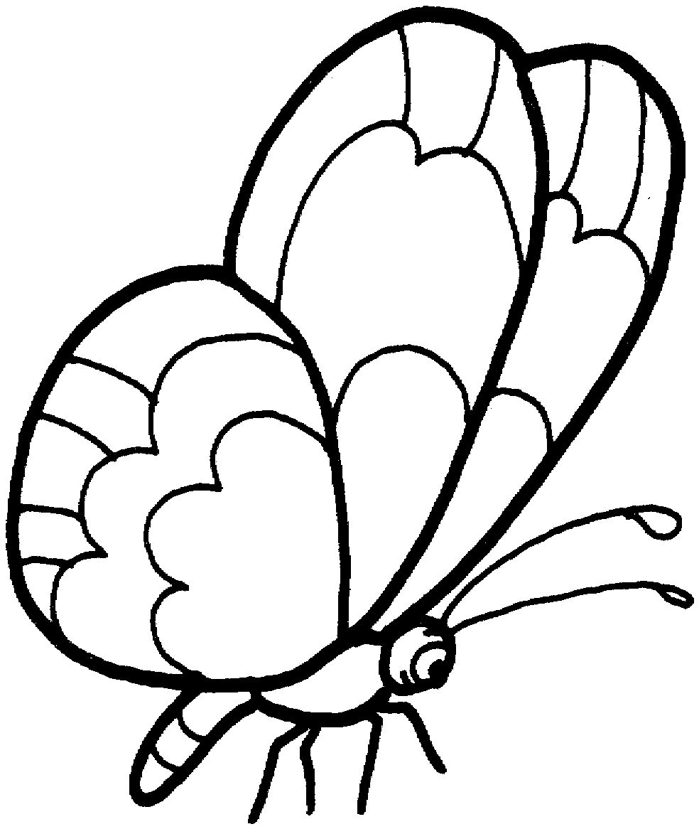 Butterfly Coloring Pages