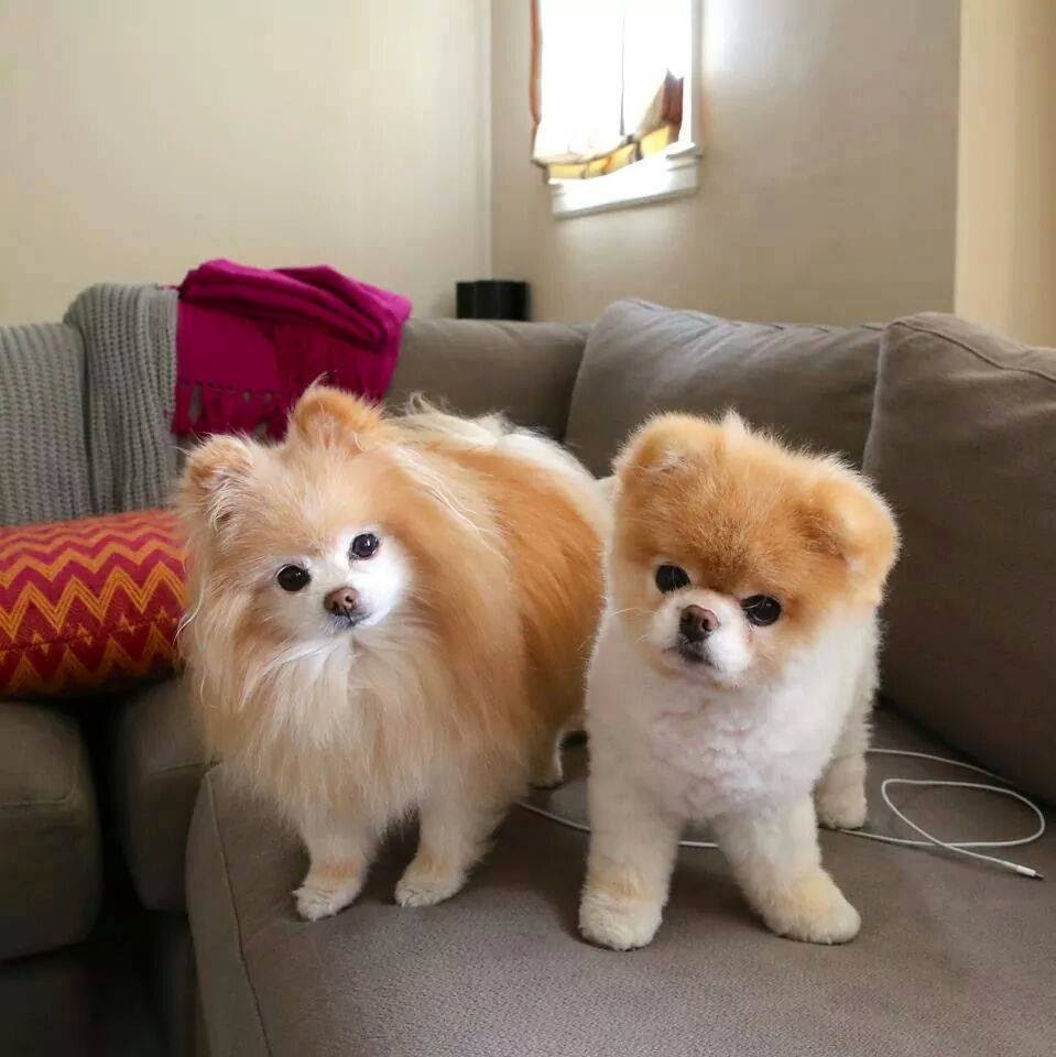 chats free Cute Facebook Profile DP 2015