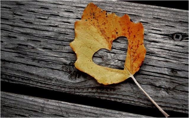 feuilles de l'automne et d'amour
