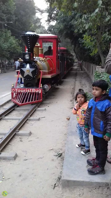 Lko Zoo Toy train