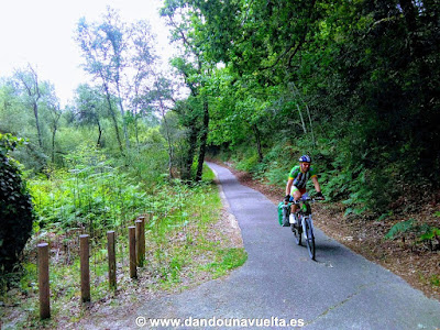 Vía ciclista por bosque en La Velodyssee, Francia