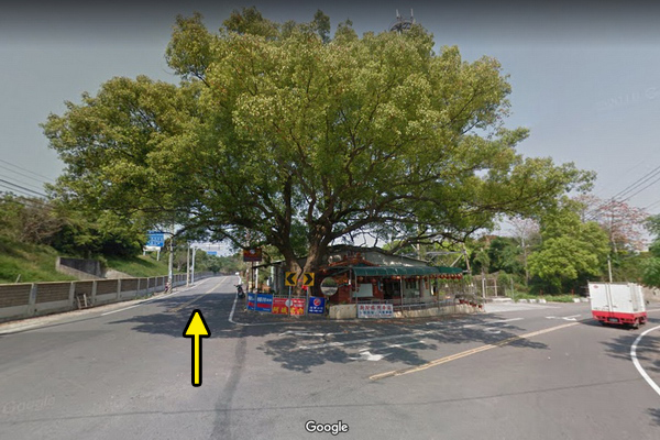 台中外埔景點|外埔梅園|數十棵梅樹排列整齊|地面平坦有綠草坪|泰安服務區旁 台中外埔景點|外埔梅園|數十棵梅樹排列整齊|地面平坦有綠草坪|泰安服務區旁