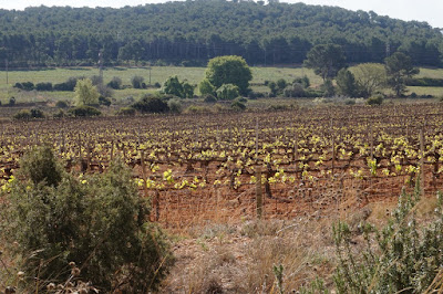 Campdàsens. Abril 2019