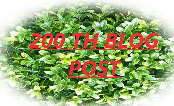 200TH BLOGGING POST {THANK YOU}