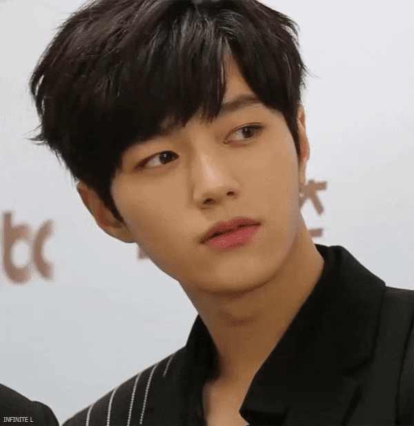 Knetz choose INFINITE L and BTS V as the most legendary visual and face of  male idol!