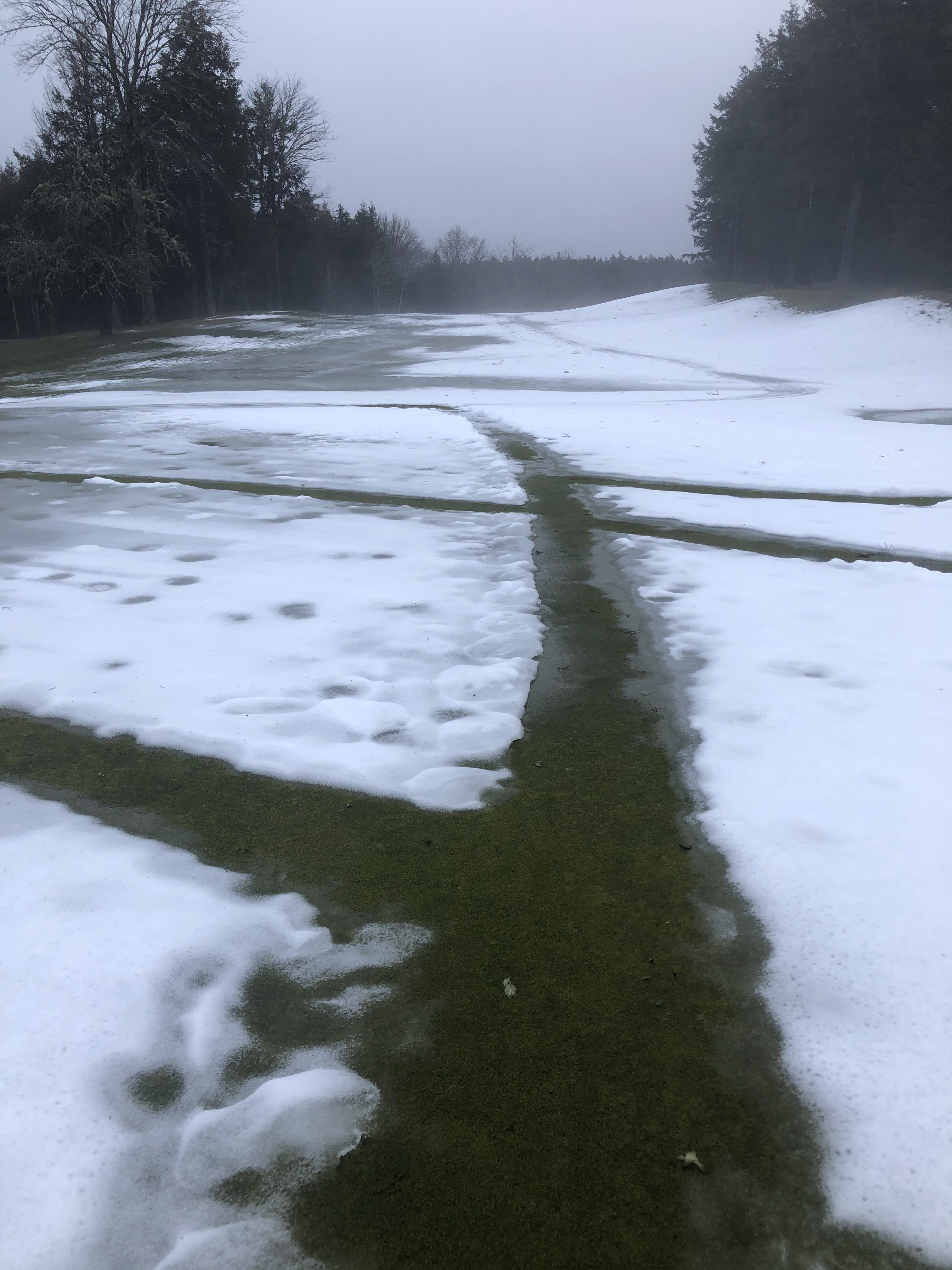 Oakfield Golf and Country Club Turf Department Winter 2021 Update