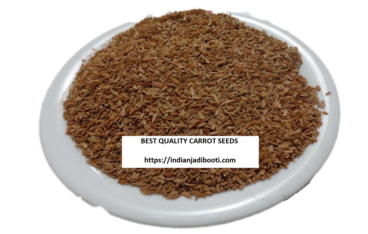 Benefits of Carrot Seeds