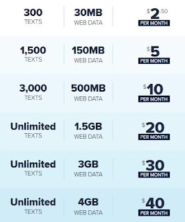 USA Prepaid Sim Card 30 Days (Uses T-Mobile), 10GB High-Speed Data,  Unlimited Data/Talk/Text, Calls to Canada, India & More, Quick Activation,  Jethro Mobile Kit (1 Month) : : Electronics