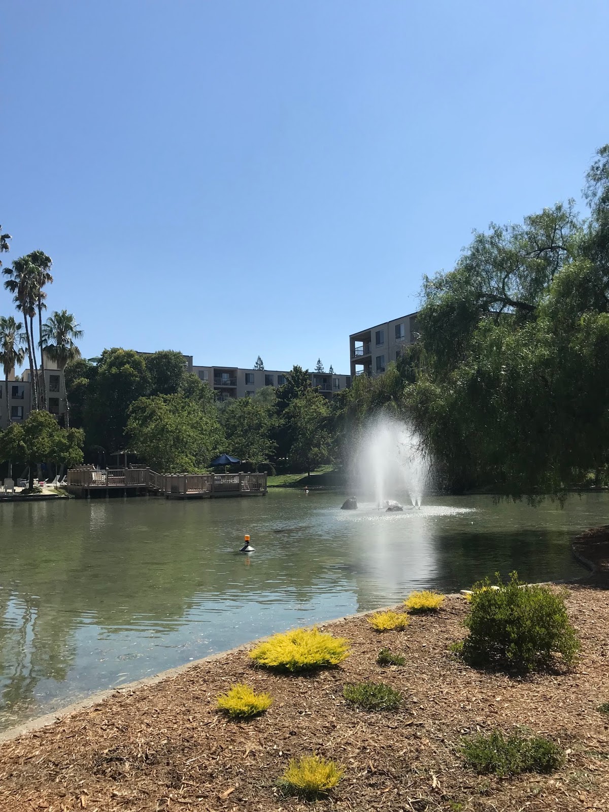 WALNUT CREEK CONDO FOR LEASE