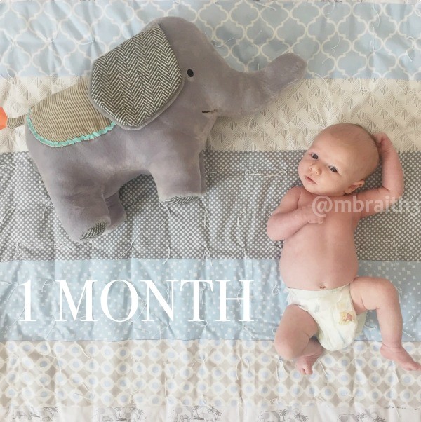  Bébé sur couverture avec éléphant en peluche pour des idées de photos mensuelles pour bébé.