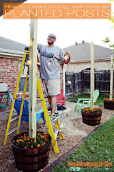 planted sturdy lights patio hanging backyard plants yard together holding put should where use floor perfect project