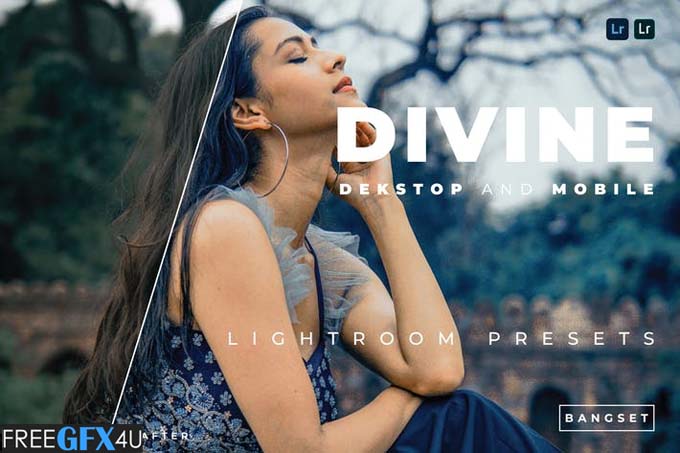 Divine Desktop and Mobile Lightroom Preset Divine Desktop and Mobile Lightroom Preset