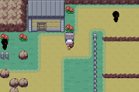 Pokemon Demon Island Screenshot 03