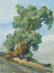 plein air painting tips tom brown fine