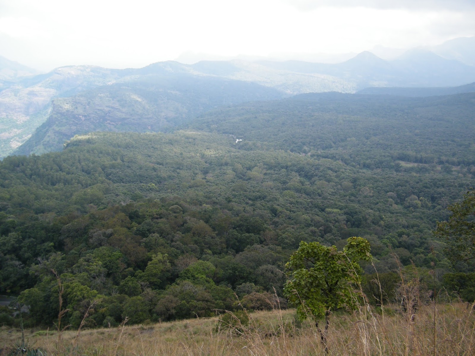 Сарай гора туапсинский район