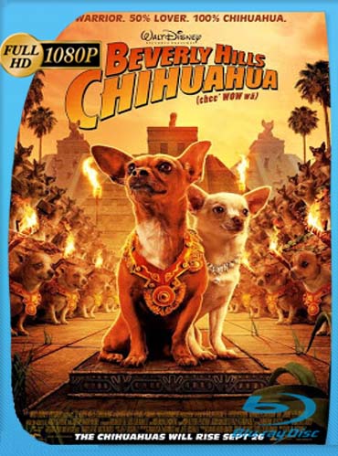 Una Chihuahua De Beverly Hills 1-2-3 (2008-2012) HD [1080p] Latino [GoogleDrive] SXGO