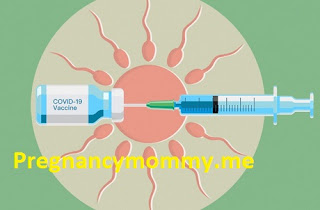 Does the COVID-19 Vaccine Have an Effect on Fertility