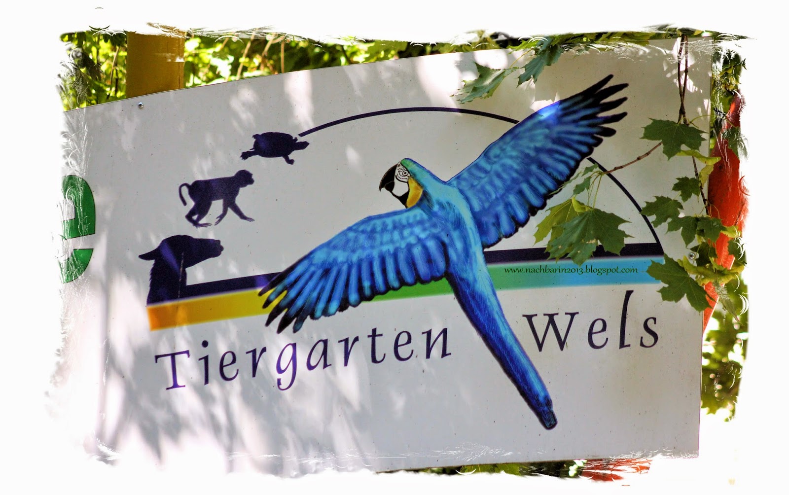 Die lästige Nachbarin: Herbstbilder aus dem Tiergarten Wels (Ausflugtipp) Die lästige Nachbarin: Herbstbilder aus dem Tiergarten Wels (Ausflugtipp)