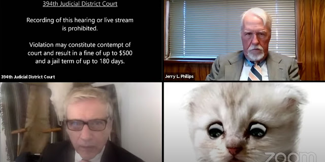 Amerika'da Bir Avukat Mahkemede Kedi Kılığına Girdi, Zoom Filtresini Suçluyor