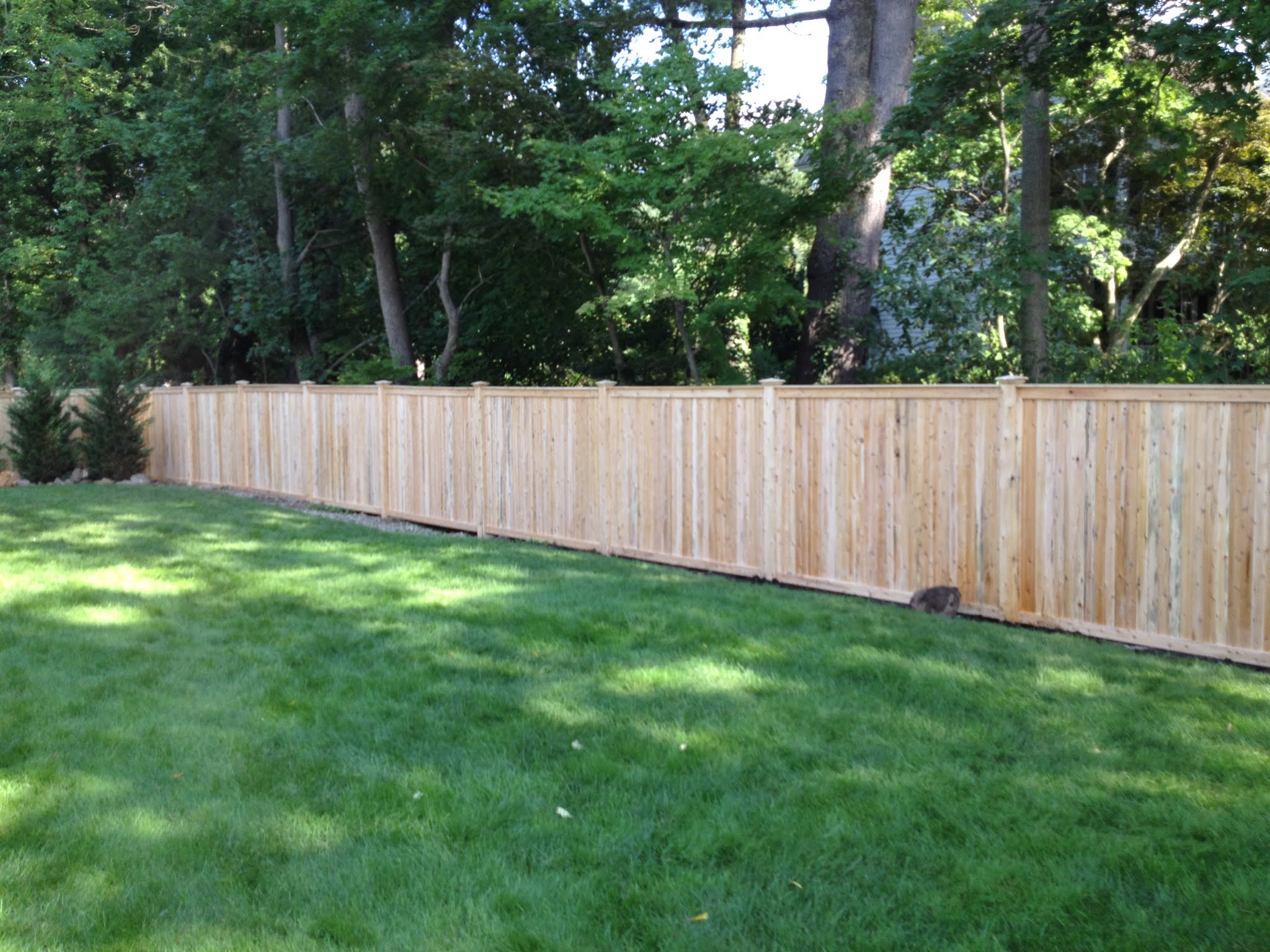 Challenger Fence Professional Fence Installation in NJ