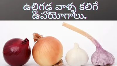 what are benefits of onion uses of onion uses of onion for hair uses for onion powder uses of white onion uses of onion juice uses of onion powder uses of onion for hair growth uses of spring onion uses for onion juice uses of onion juice for hair uses of small onion uses of onion oil for hair uses of onion in hindi what are the uses of onion for hair uses for onion skins uses of onion juice on hair is eating onion good for health is it ok to use onion juice on hair daily medicinal uses of onion leaves uses of garlic onion how many times use onion juice in a week how many times use onion juice on hair medicinal uses of onion plant how often to use onion juice for hair growth how often use onion juice for hair medicinal uses of onion seeds uses of onion juice for skin uses of onion leaves uses of onion hair oil