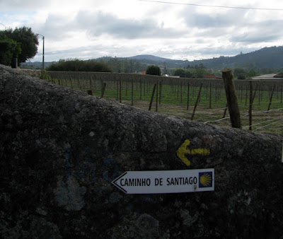 Plantação, muro de pedras e sinalização do caminho de Santiago