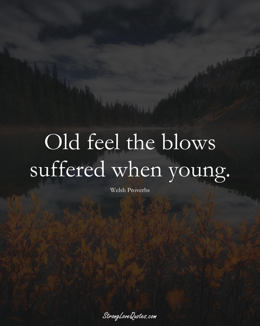 Old feel the blows suffered when young. (Welsh Sayings);  #EuropeanSayings