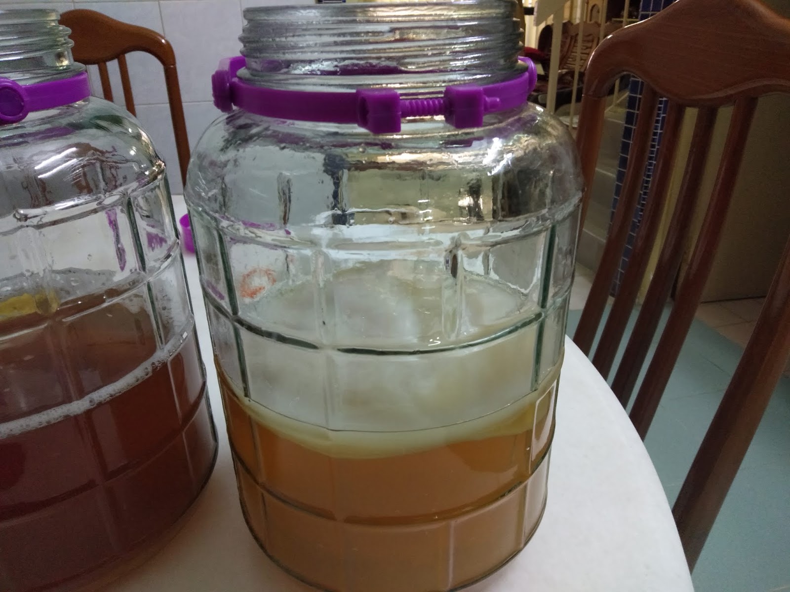 My Cooking Recipe 1st. Batch Of Kombucha Using Jasmine Tea