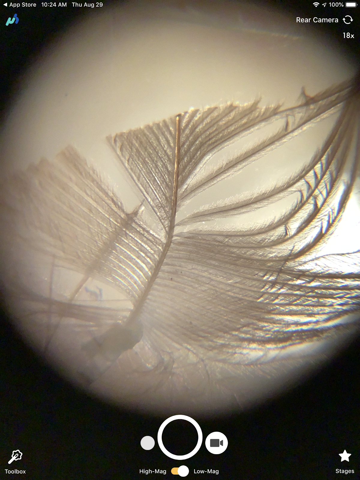 Kathy Schrock's Kaffeeklatsch August 2019