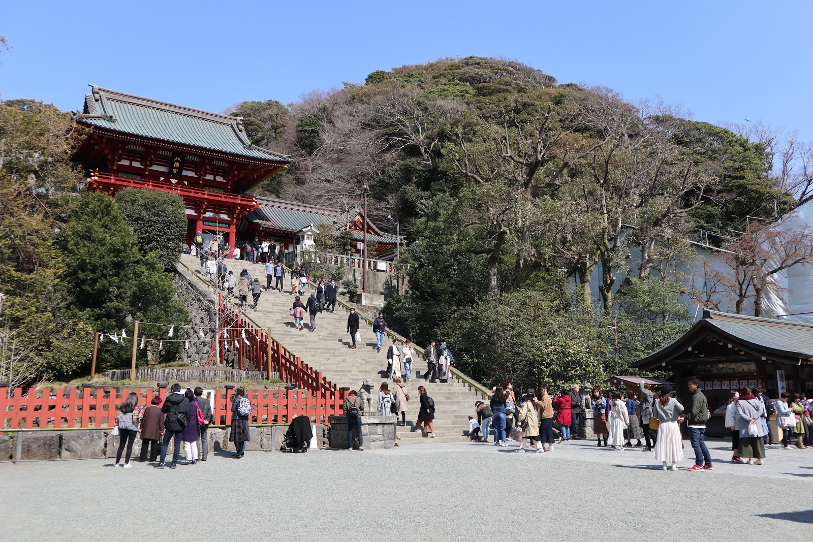 提供者：www.natsmallhand.com