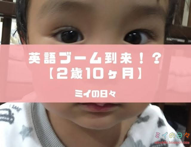 【2歳10ヶ月】英語ブーム到来！！