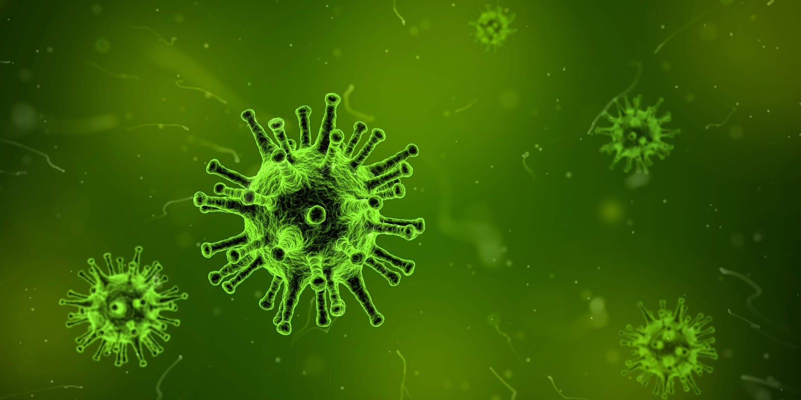 Proyecto Integrador Vacunas Pesticida Y Antibióticos Usos Y Abusos