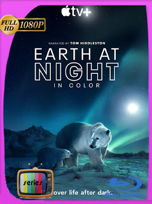 Planeta Nocturno A Todo Color Temporada 1-2 HD [1080p] [Latino] [GoogleDrive] [MasterAnime]