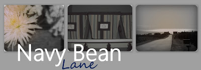 Navy Bean Lane