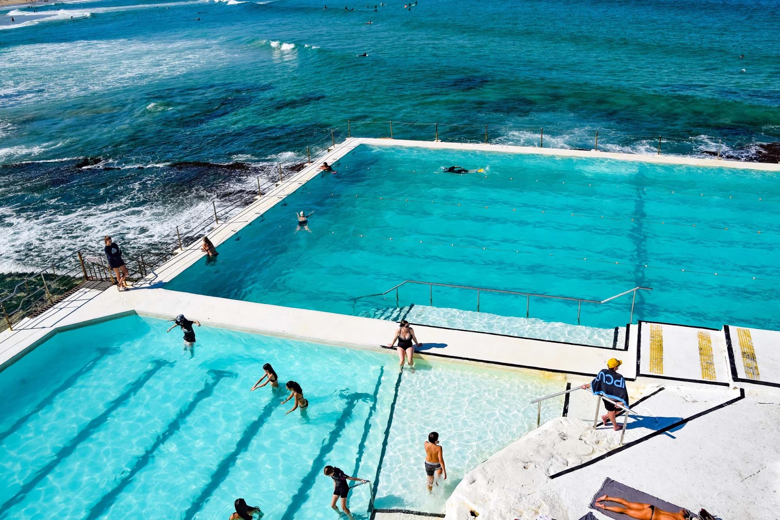 bondi icebergs