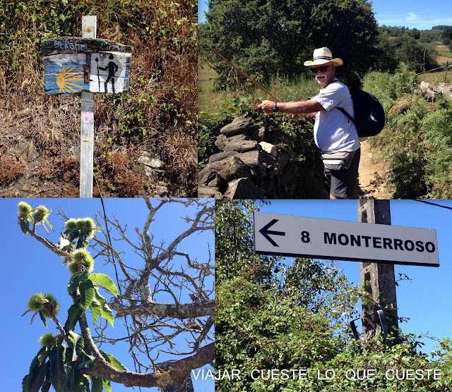 camino a santiago