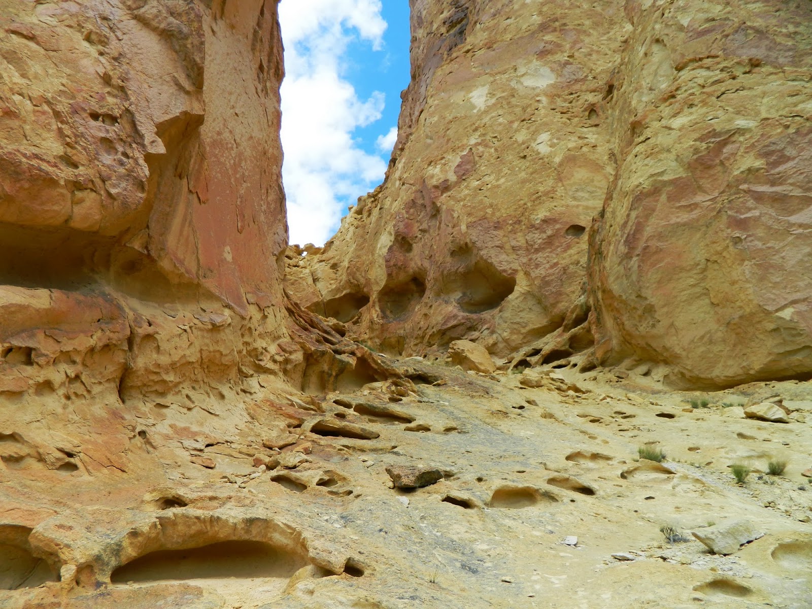 Living in Idaho Timber Gulch at Leslie Gulch Area