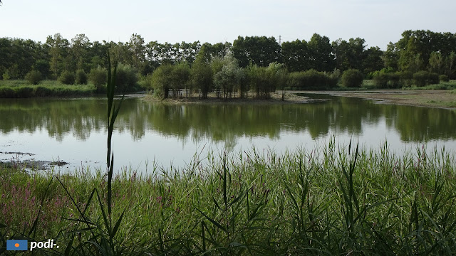 Palude di Sils, Pantano de Sils, Estany de Sils