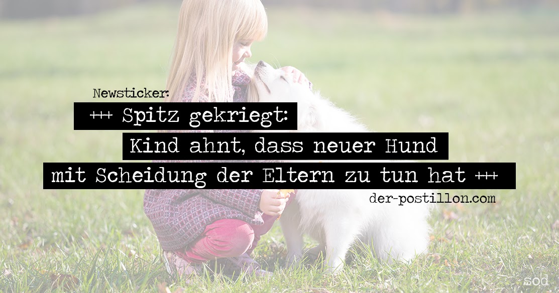 Der Postillon Newsticker (695)