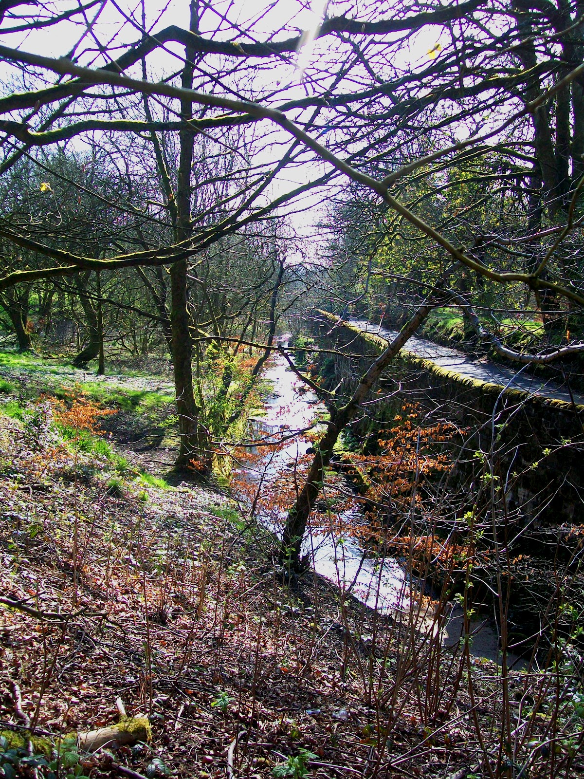 Middlebrook Valley Trail