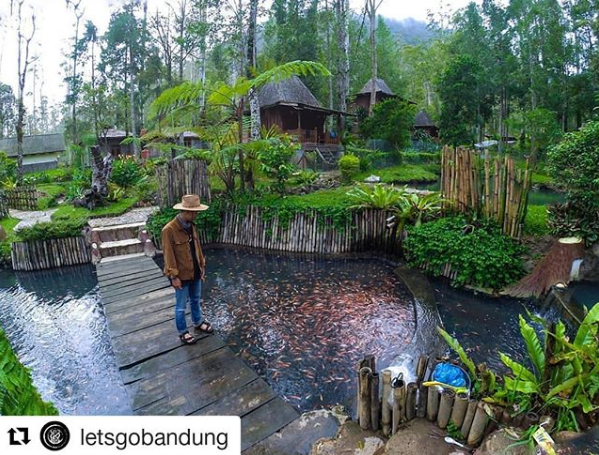 Taman Wisata Alam Cimanggu Hot Spring Cottage Harga Taman Wisata Alam Cimanggu Hot Spring Cottage Harga
