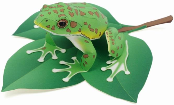 Frog Papercraft