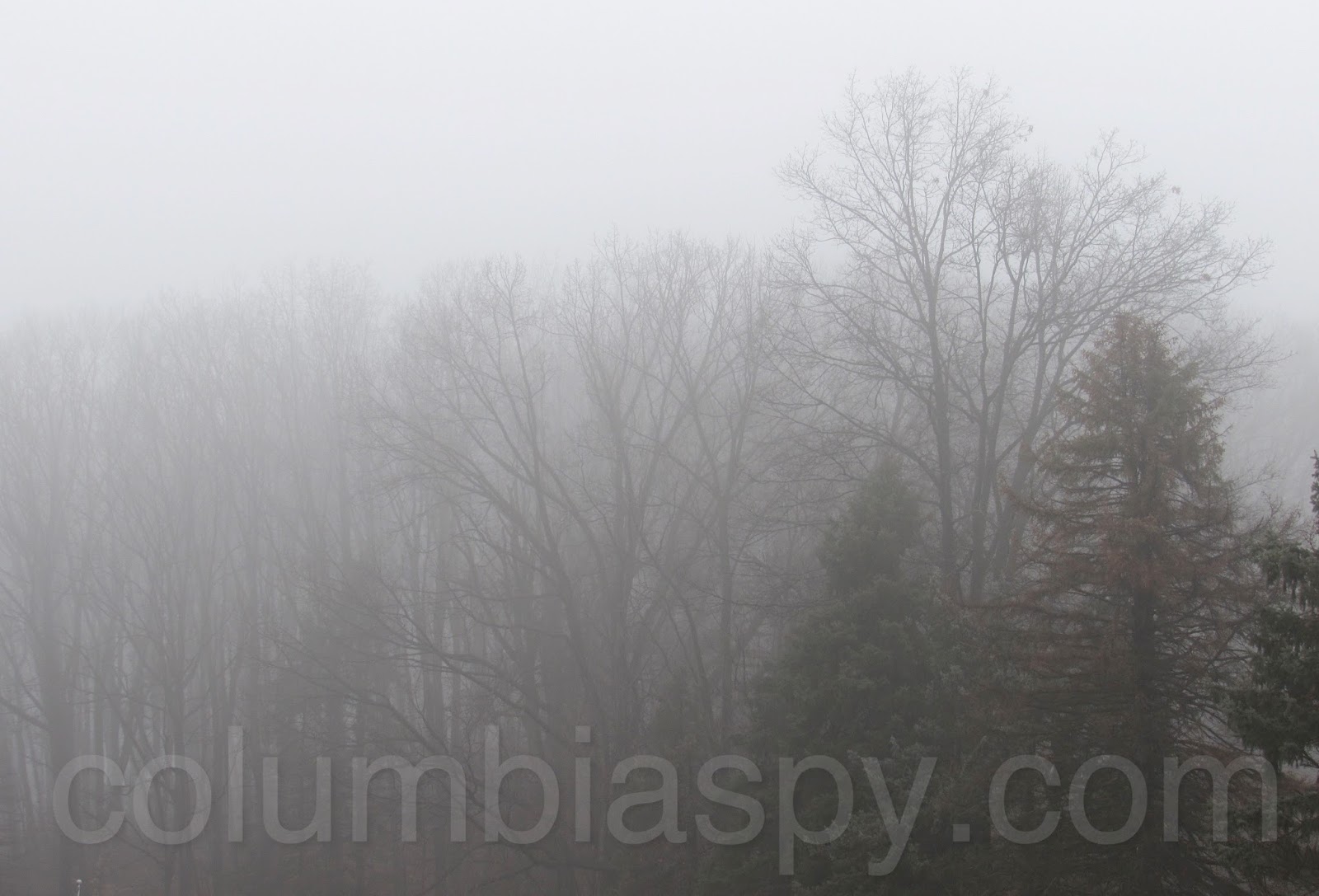 Columbia Spy The Fog Comes On Little Cat Feet